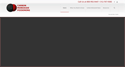 Desktop Screenshot of carbonmonoxide.com